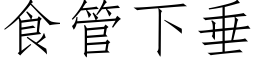 食管下垂 (仿宋矢量字库)