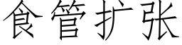 食管扩张 (仿宋矢量字库)