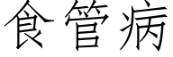 食管病 (仿宋矢量字库)