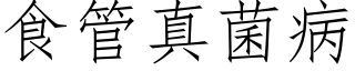 食管真菌病 (仿宋矢量字库)