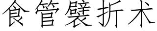食管襞折術 (仿宋矢量字庫)