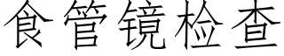 食管镜检查 (仿宋矢量字库)