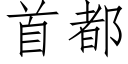 首都 (仿宋矢量字库)