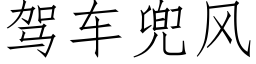 驾车兜风 (仿宋矢量字库)