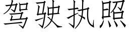 驾驶执照 (仿宋矢量字库)