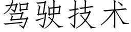 驾驶技术 (仿宋矢量字库)