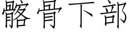 髂骨下部 (仿宋矢量字库)