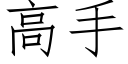 高手 (仿宋矢量字庫)