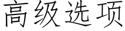 高級選項 (仿宋矢量字庫)