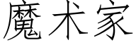 魔術家 (仿宋矢量字庫)