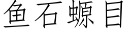 鱼石螈目 (仿宋矢量字库)