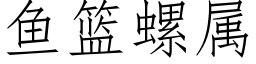 鱼篮螺属 (仿宋矢量字库)