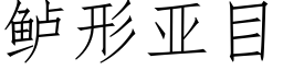 鲈形亞目 (仿宋矢量字庫)