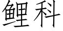 鲤科 (仿宋矢量字库)