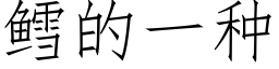 鳕的一种 (仿宋矢量字库)