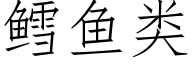 鳕鱼类 (仿宋矢量字库)