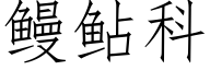 鳗鲇科 (仿宋矢量字庫)