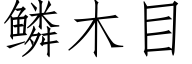 鳞木目 (仿宋矢量字库)