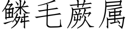 鳞毛蕨属 (仿宋矢量字库)