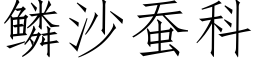 鱗沙蠶科 (仿宋矢量字庫)