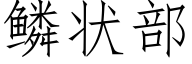 鳞状部 (仿宋矢量字库)