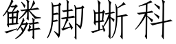 鳞脚蜥科 (仿宋矢量字库)