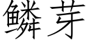 鱗芽 (仿宋矢量字庫)