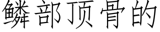 鱗部頂骨的 (仿宋矢量字庫)