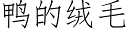 鴨的絨毛 (仿宋矢量字庫)