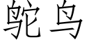 鴕鳥 (仿宋矢量字庫)