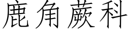 鹿角蕨科 (仿宋矢量字库)