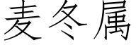 麦冬属 (仿宋矢量字库)