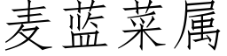 麦蓝菜属 (仿宋矢量字库)