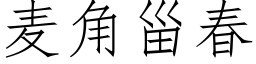 麥角甾春 (仿宋矢量字庫)