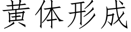 黃體形成 (仿宋矢量字庫)