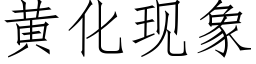 黃化現象 (仿宋矢量字庫)