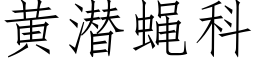 黄潜蝇科 (仿宋矢量字库)