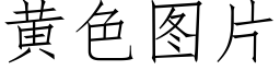 黄色图片 (仿宋矢量字库)