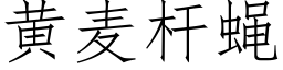 黄麦杆蝇 (仿宋矢量字库)