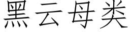 黑云母类 (仿宋矢量字库)