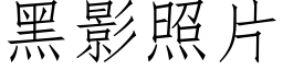 黑影照片 (仿宋矢量字庫)