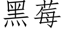 黑莓 (仿宋矢量字庫)