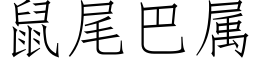 鼠尾巴屬 (仿宋矢量字庫)