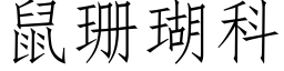 鼠珊瑚科 (仿宋矢量字庫)