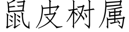 鼠皮樹屬 (仿宋矢量字庫)