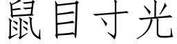 鼠目寸光 (仿宋矢量字庫)
