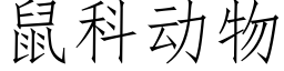 鼠科动物 (仿宋矢量字库)