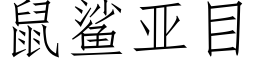 鼠鲨亞目 (仿宋矢量字庫)