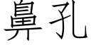 鼻孔 (仿宋矢量字库)