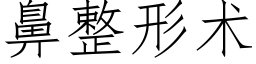 鼻整形術 (仿宋矢量字庫)